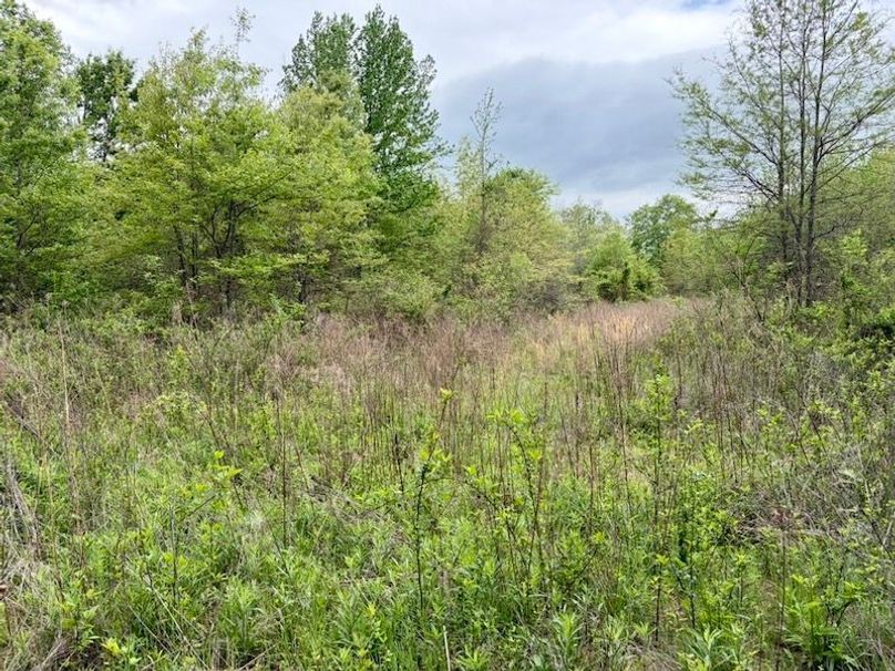 6EF089EE-9E2B-4D73-AE5F-1F1B73750B75_1_105_c