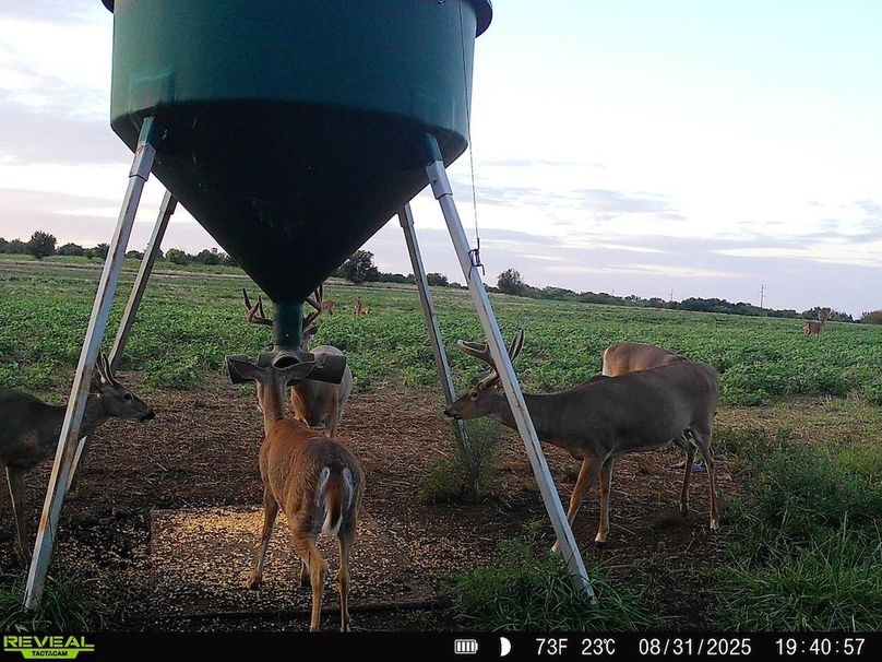 860516064952926-50-3-09032025052722-HD-SYFW6376