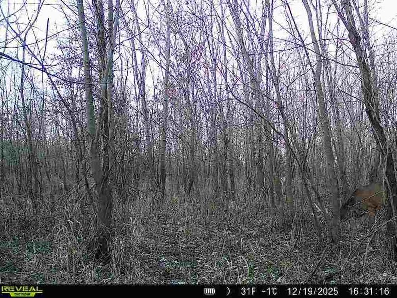 860516068100795-100-2-12192025163116-V-W1000179