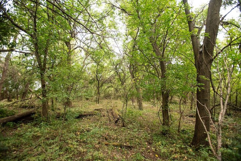  BLACKDOGBEND SOUTH_33