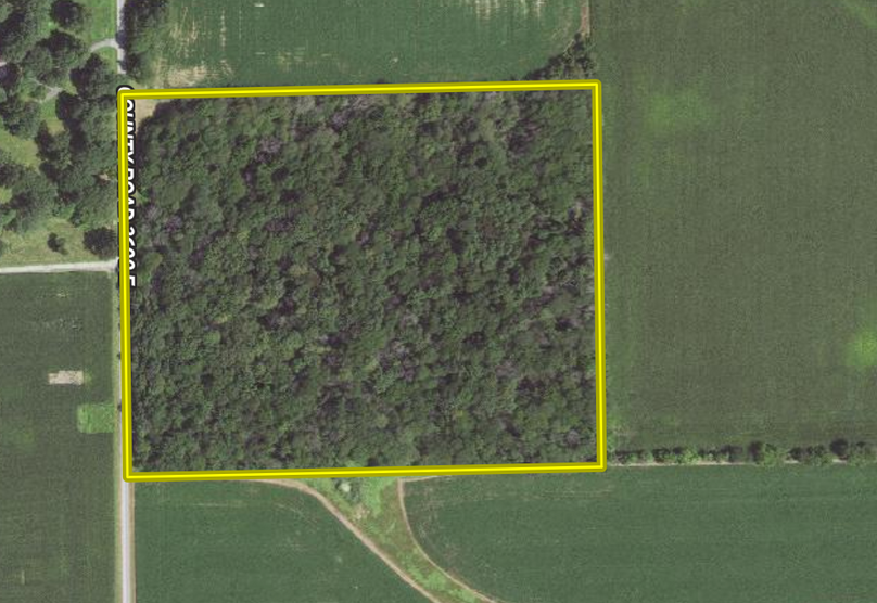 Screen Shot 2023-06-27 at 8.07.45 AM