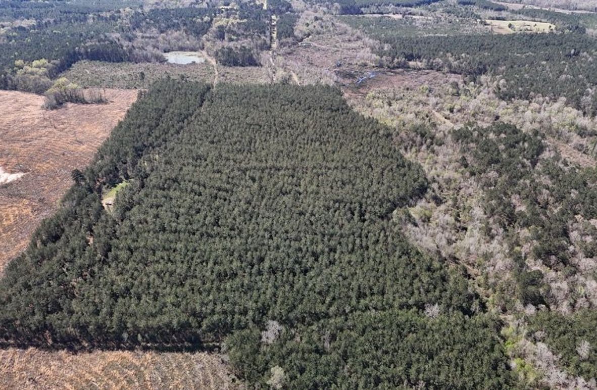 DJI_20260318001853_0124_D