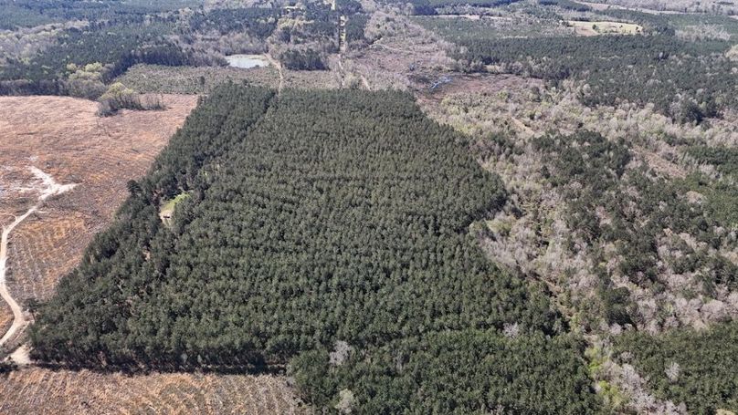 DJI_20260318001853_0124_D