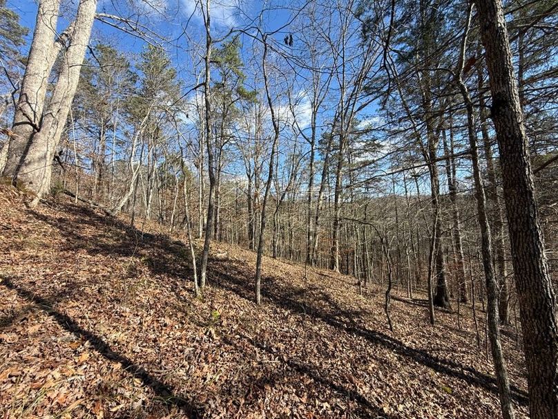 011 the view to the east around the point