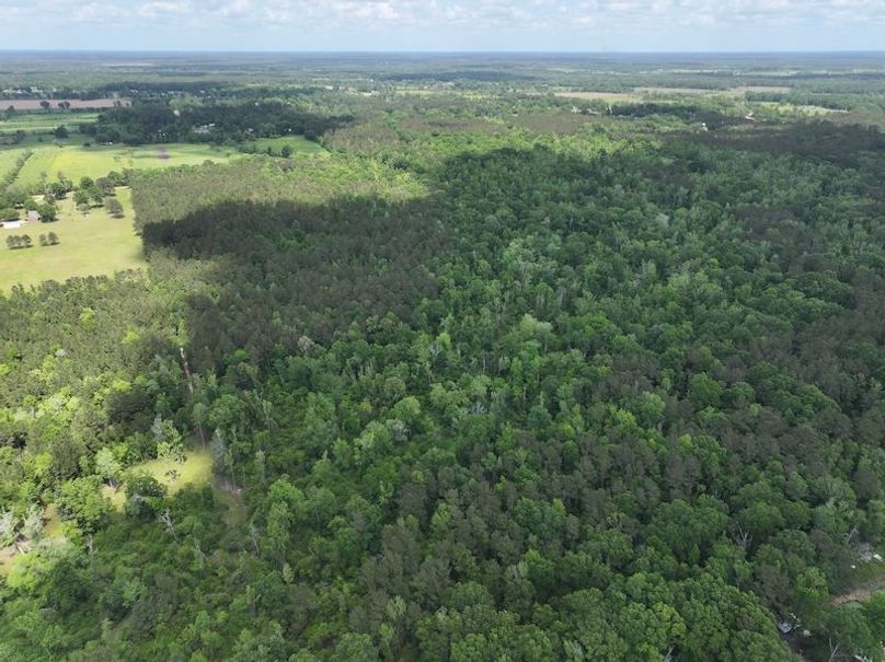 dji_fly_20260413_114456_0037_1776114935201_photo