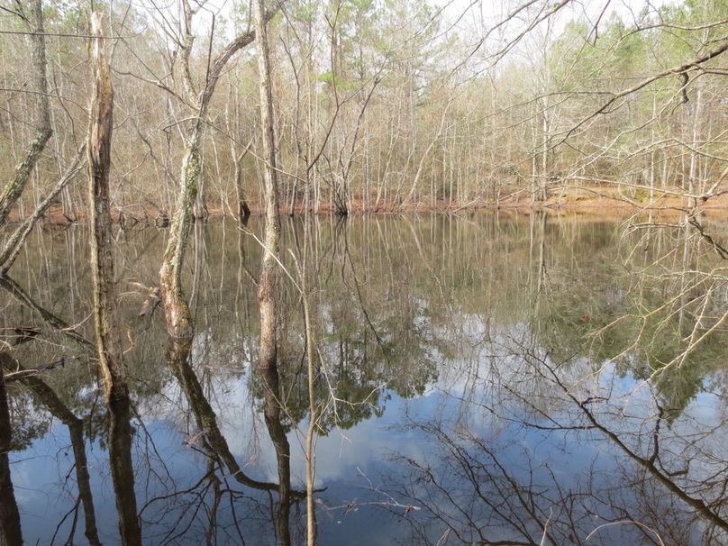 3DD2382C-1CFB-41ED-97D5-5FCFE04437B2_1_105_c