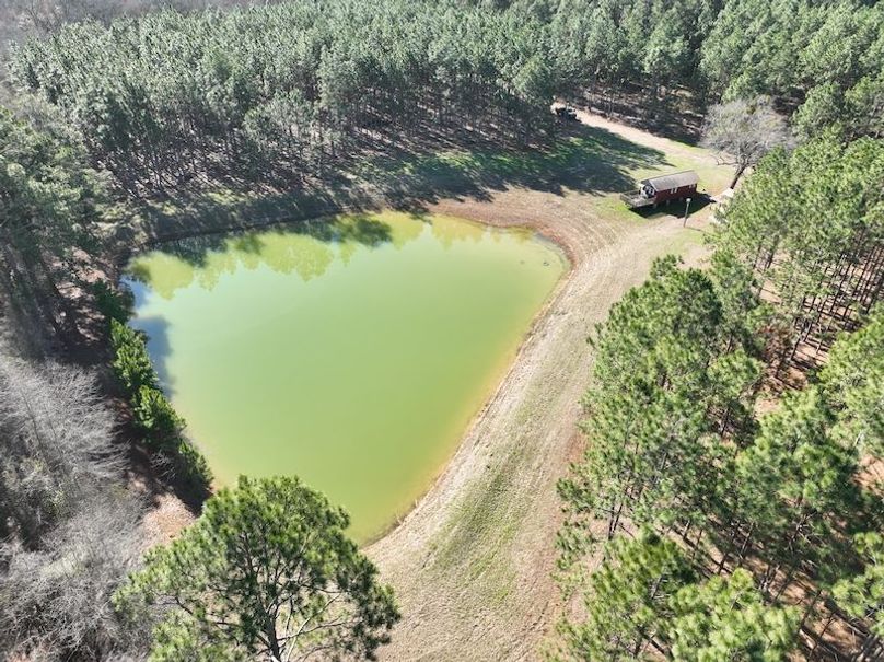 dji_fly_20240207_104230_57_1707320786852_photo