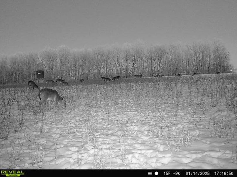 864049057158471-100-4-01142025171650-W1022901