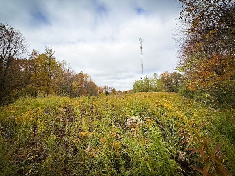 Oswego NY 6.68 Photos 31