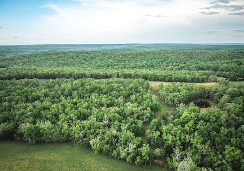 DJI_20250501182250_0332_D