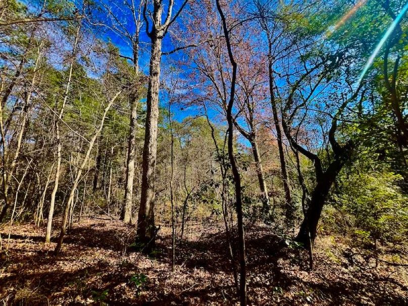 A22EB6A0-3A7D-44CF-9B47-66C952EA35FE_1_201_a