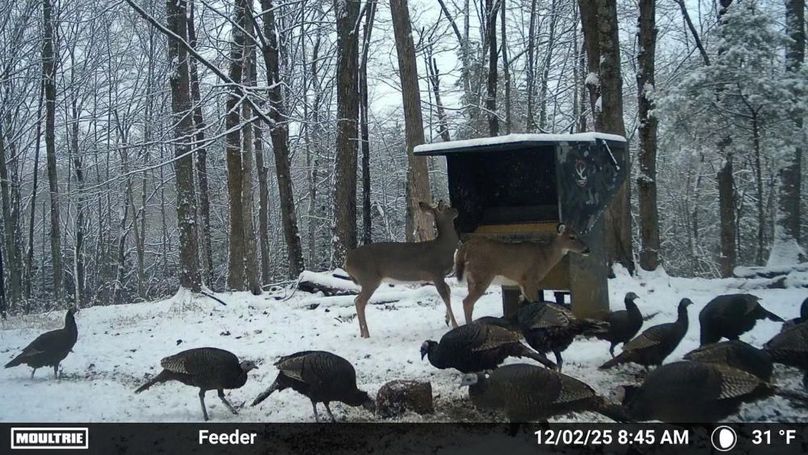 Temp_2337666-20251202134617-100MFCAM_MFDC6675(1)