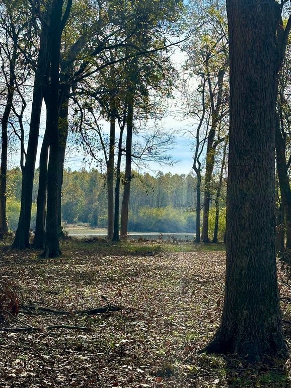 FullSizeRender(12) copy