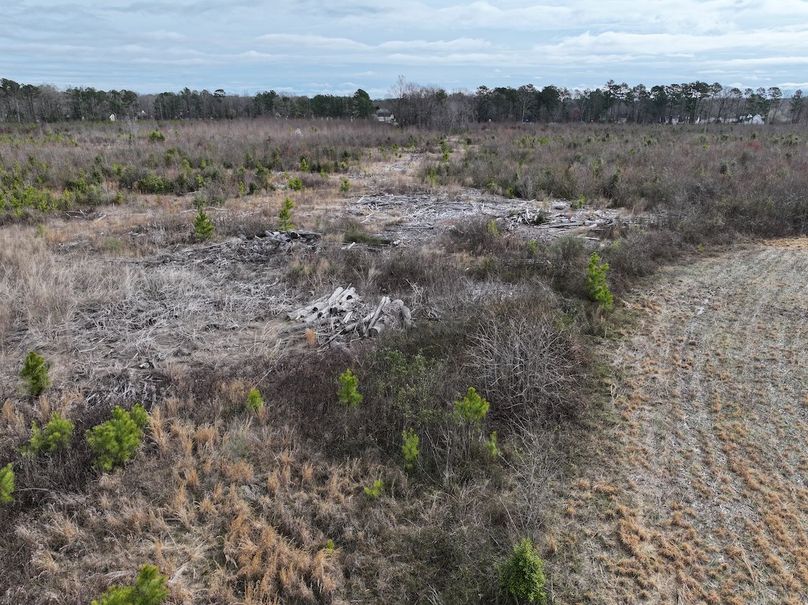 DJI_20240305095625_0043_D