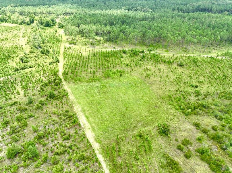 dji_fly_20240710_135530_553_1720634585054_photo