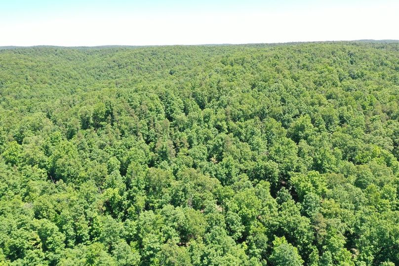 DJI_0895