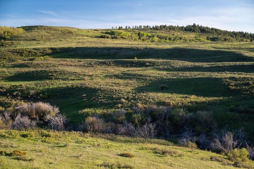 B38CDC32-01DD-4CB9-8C0C-D76BED48AF87