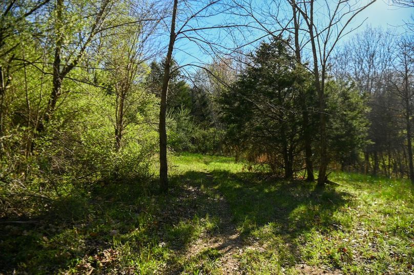 vandalia 450 (2)-2465