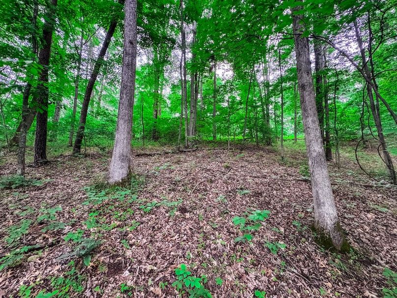 Tyler, WV 313.87 AC -23