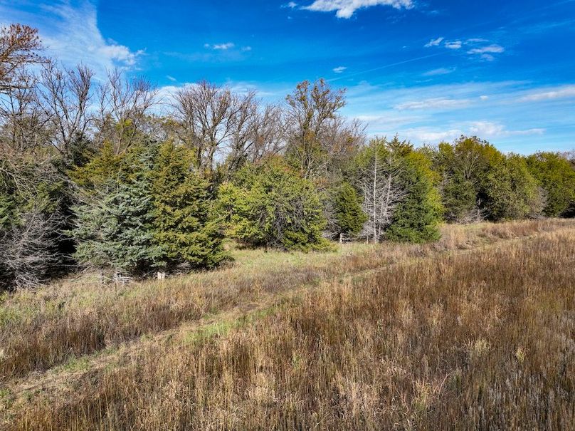 Dickinson Co, 154.5_038