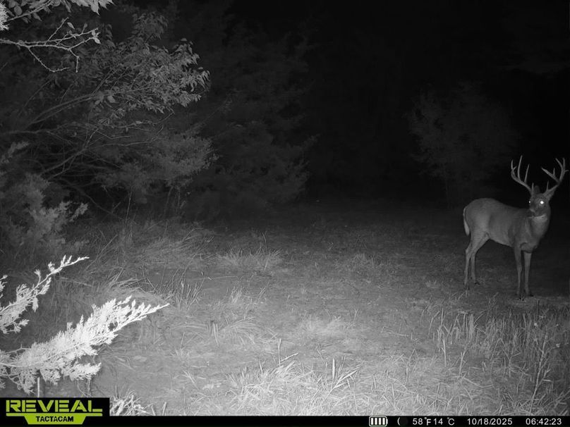 860322064006494-100-3-10182025110007-HD-SYEW4816