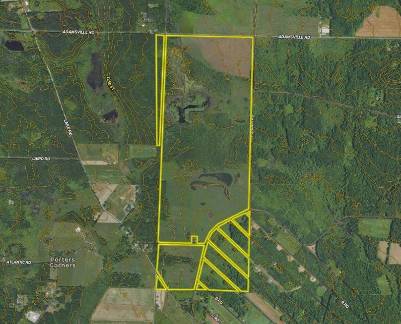 Screen Shot 2023-11-01 at 12.22.42 PM