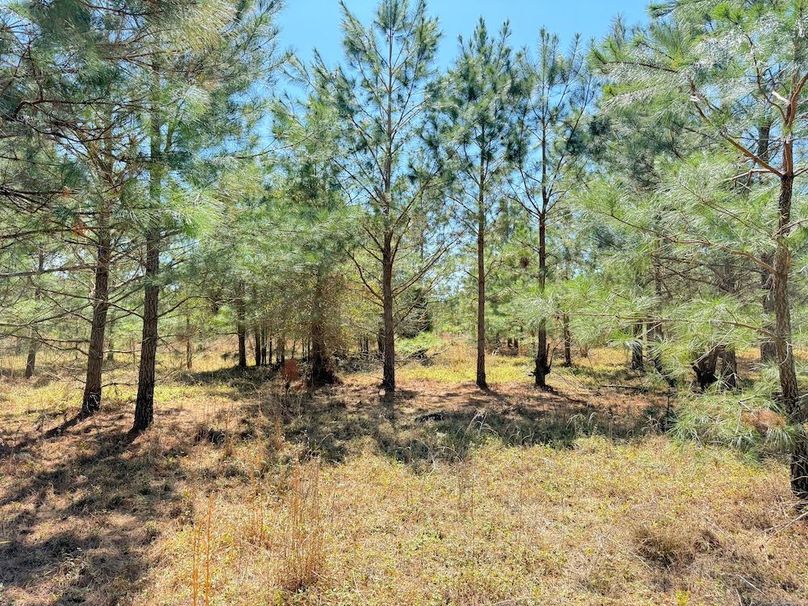 F8DE0939-FB15-4E10-9370-59F9C51CF352