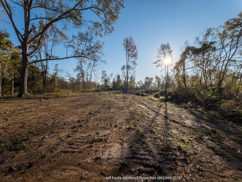 Claiborne Co-151-Geronimo-28