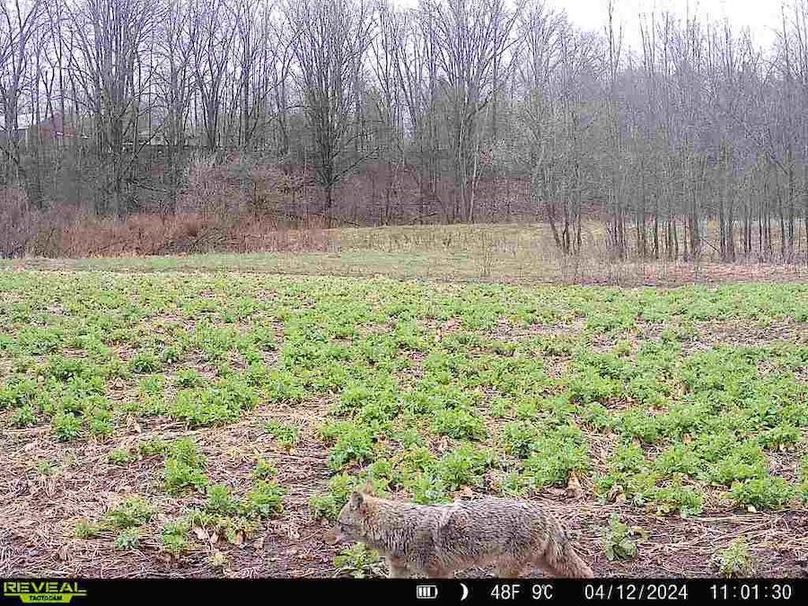 2264084732058346847 2