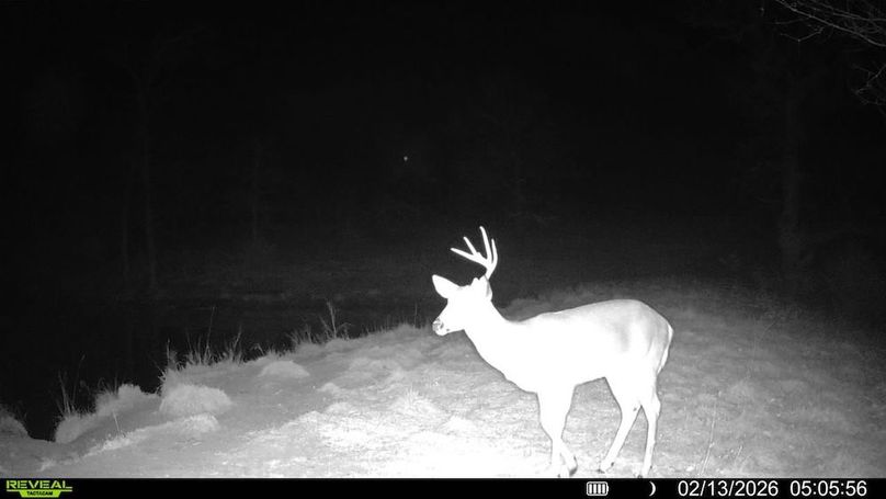 016687000201349-100-2-02132026050556-SYFW02039