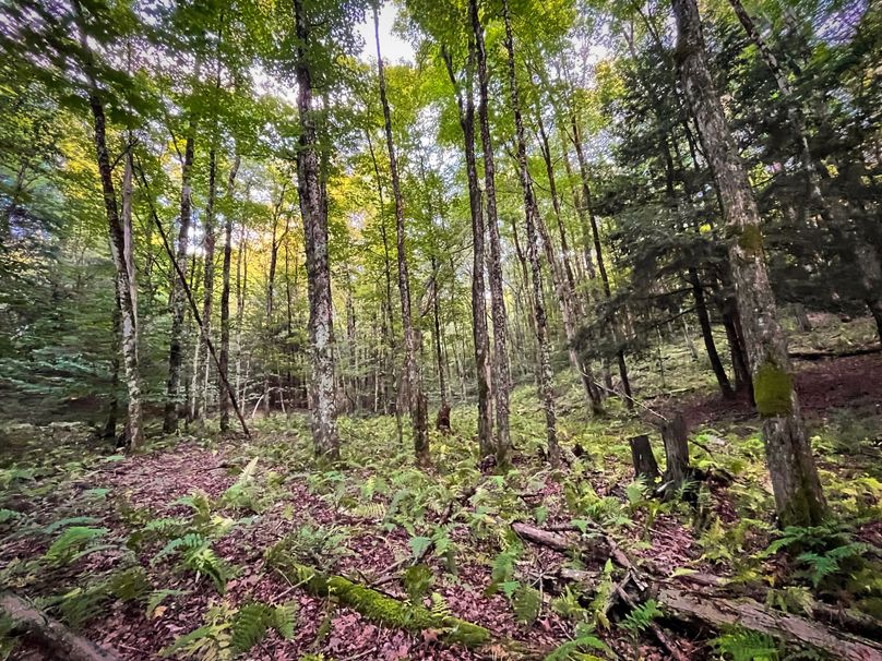 Oswego_30_RouselandInvestments_LLC_Photos_17