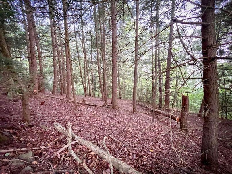 Tioga_82.5_Williams_Photos_2