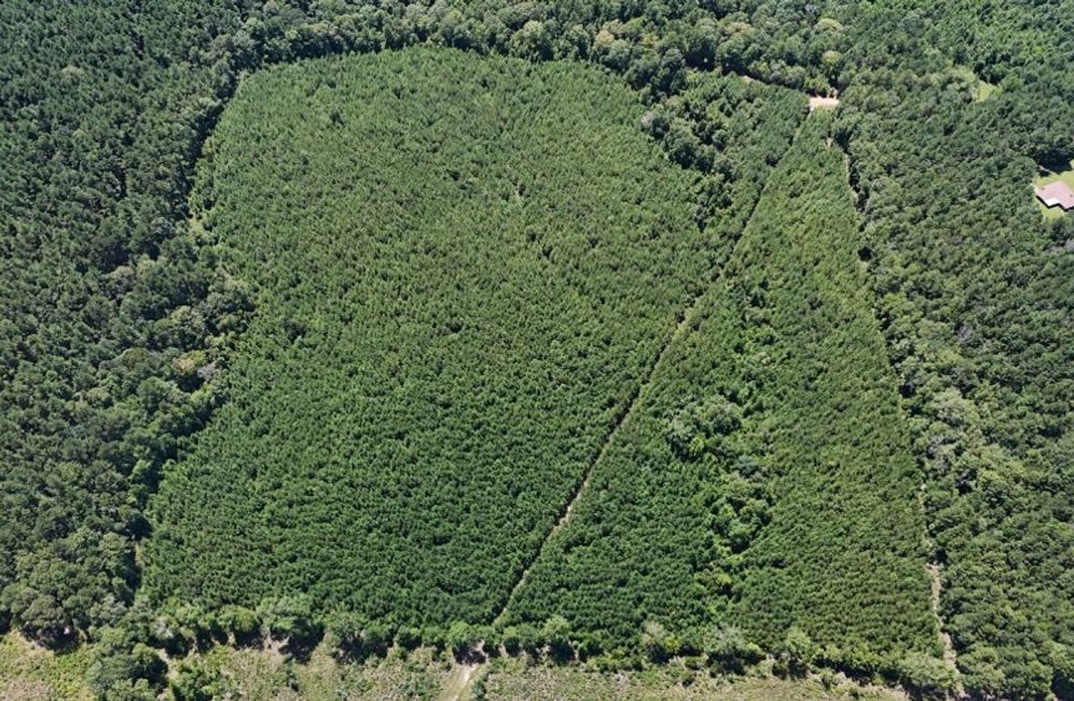 DJI_20250727033547_0540_D