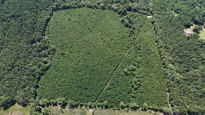 DJI_20250727033547_0540_D