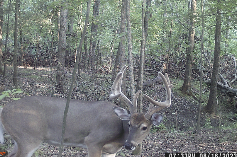 Screen Shot 2024-01-22 at 6.39.29 AM