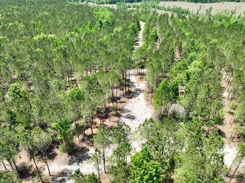 dji_fly_20260429_133848_634_1777484721497_photo