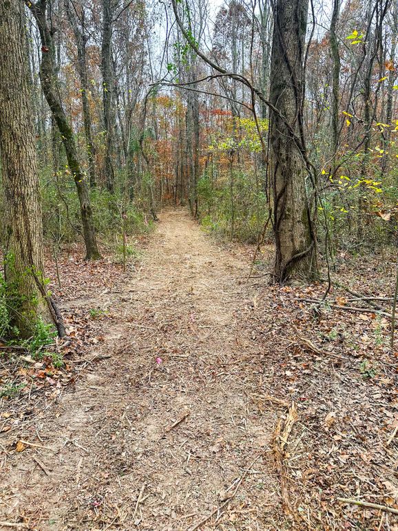 142B75A1-1788-40ED-91E0-BC85E3DF36E3