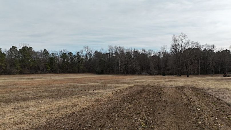 dji_fly_20260212_143900_0311_1770925834812_photo