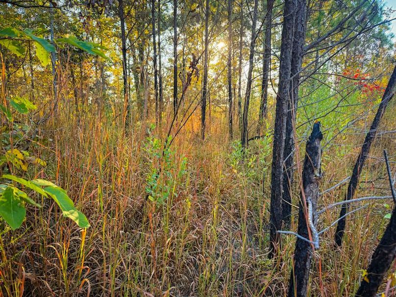 Clay 302.7 Henderson-36