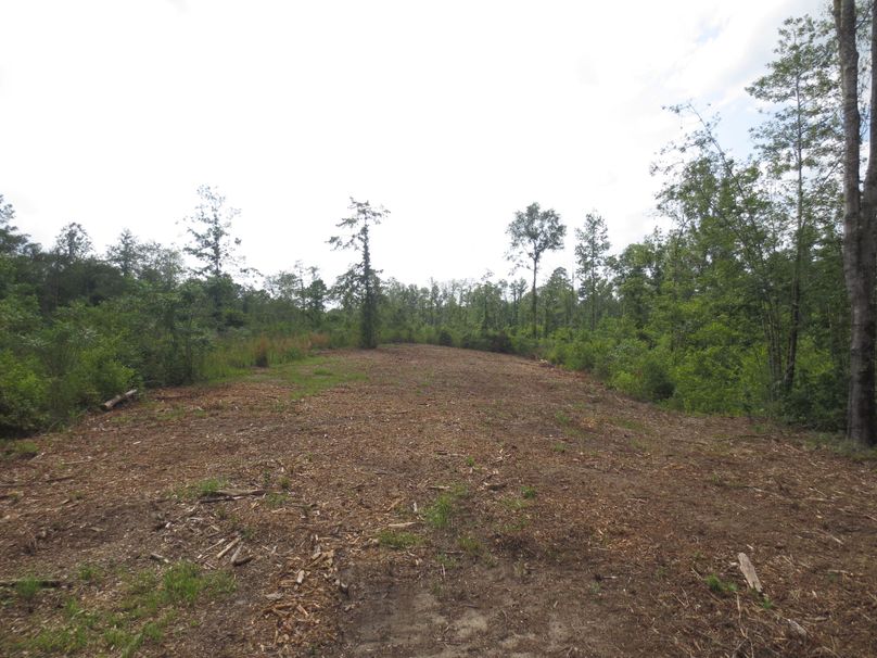 34D5B7D2-9EFA-4837-906D-8ED694ACC3B0