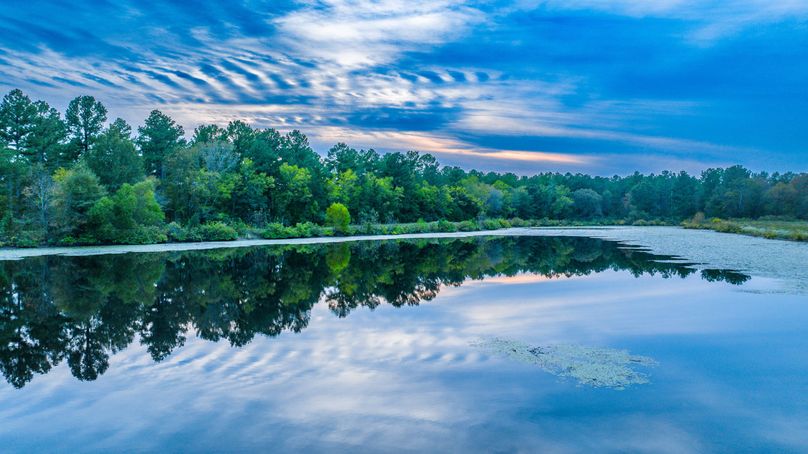 27 Upshur Co 603 ac Weise