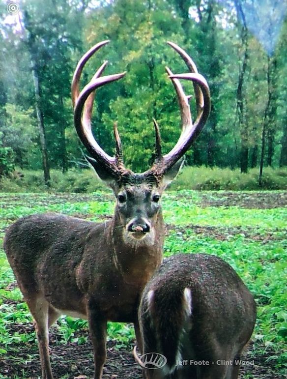 Washington Co - 980 - Patrick-25