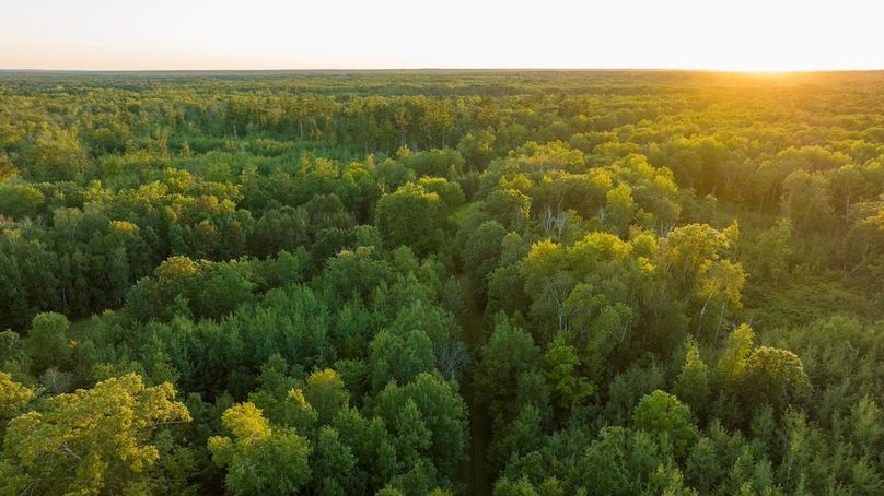 Cass MN 1095 Featured ProPhoto-109