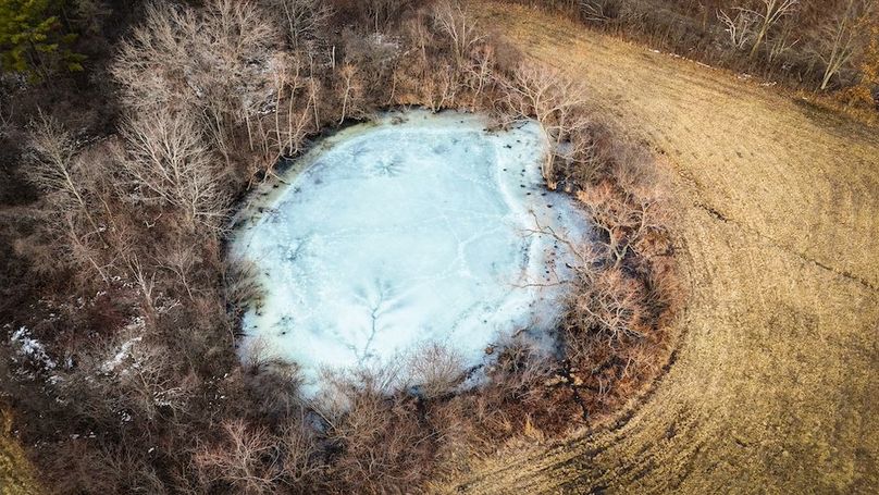 Seneca_24.54_Hohwald_Photos_27