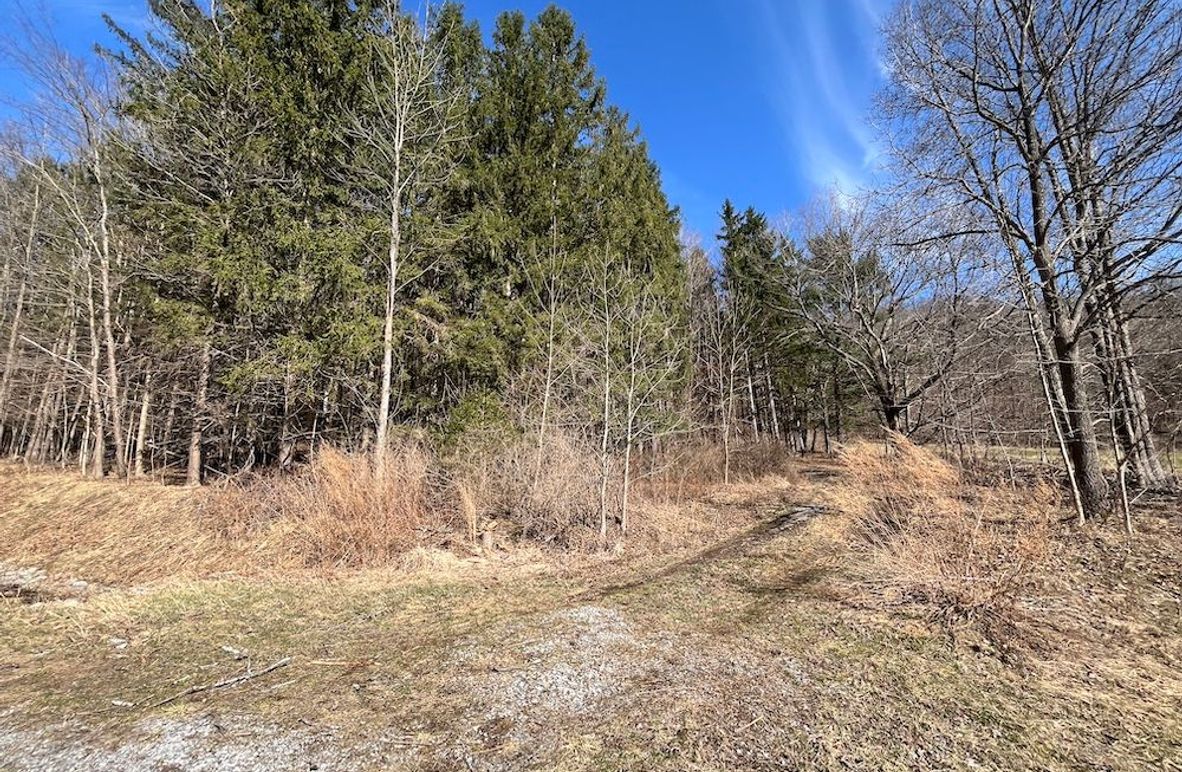 Ontario_39.6_Powell Photo 2