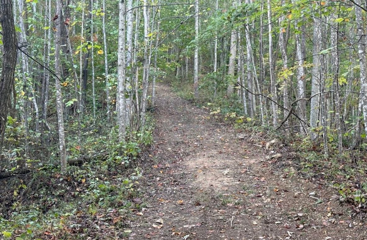005 one of the open trails leading through the property
