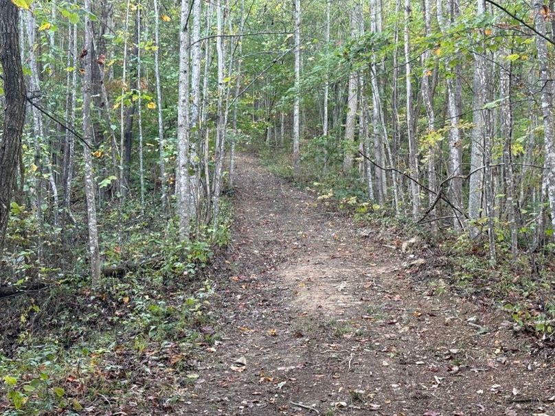 005 one of the open trails leading through the property