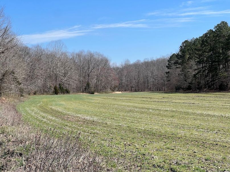 (23)Cross creek field