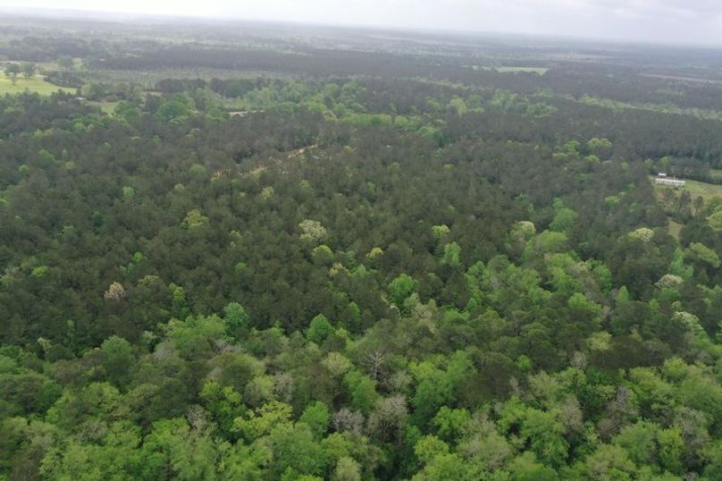 DJI_0011