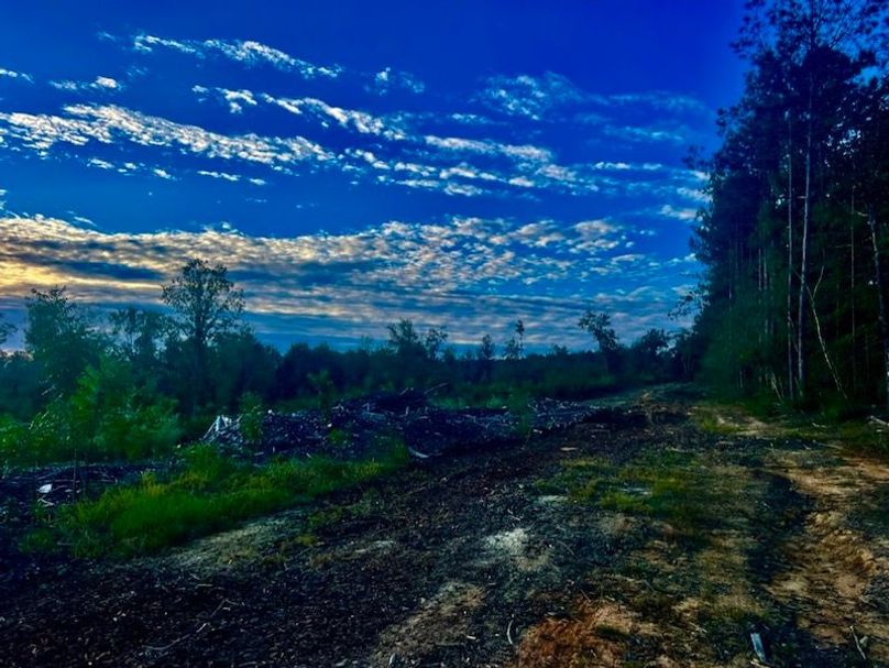 642D9F52-DBDF-4CFD-8A21-AB3252A45339_1_105_c